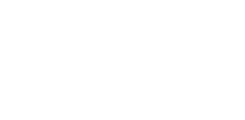 Finn Real Estate Group